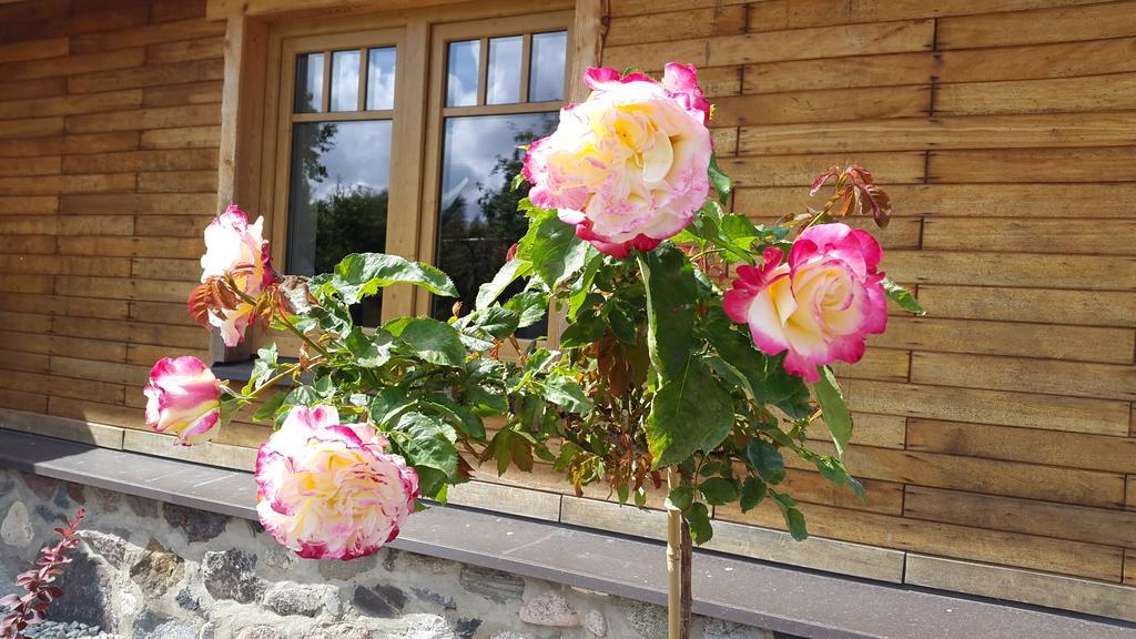 Erlendi Kodumajutus Villa Pärnu Buitenkant foto